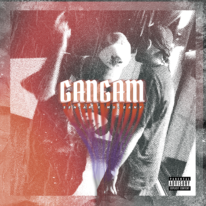 Gangam Cover Art
